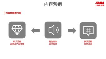 SMM整合營銷戰(zhàn)略發(fā)布 以互聯(lián)網(wǎng)形式促企業(yè)利益最大化